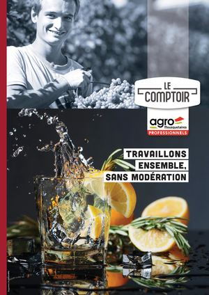 CATALOGUE LE COMPTOIR