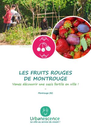 Les fruits rouges de Montrouge