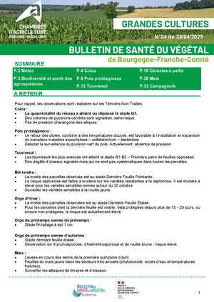 Bsv Gc N 24 Du 23 04 2025