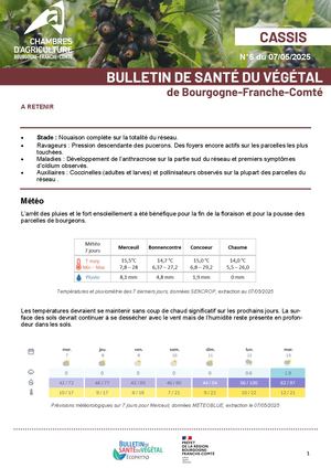 Bsv Cassis N 5 Du 07 05 2025