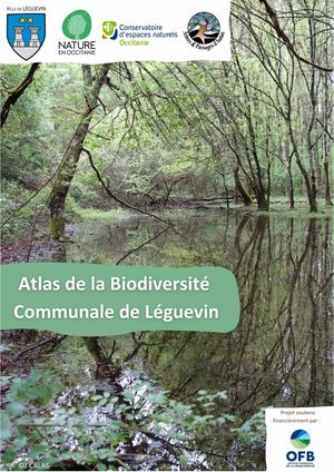 Rapport technique de l'ABC de Léguevin