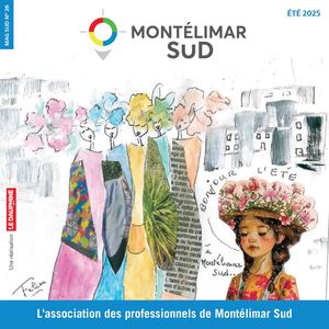 Delta Montelimar Sud