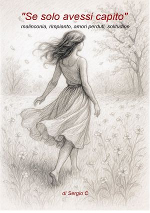 se solo avessi capito