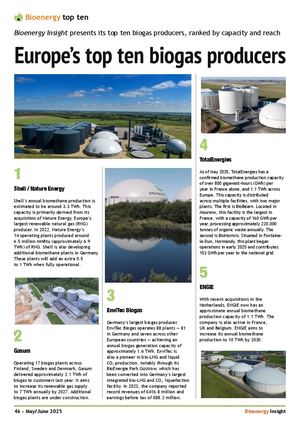 Biogas Top Ten Bioenergy Insight