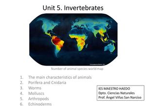 4 Invertebrates