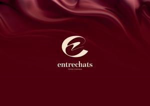 Brandbook Entrechats