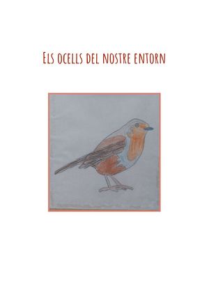 Els ocells del nostre entorn