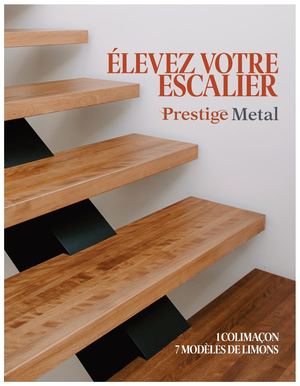 NOTRE COLLECTION DE LIMONS FR