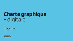 Charte Graphique digitale Findbiz