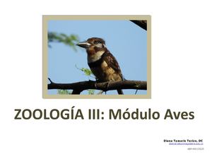 Modulo Aves Y Mam 21 Abr 2025