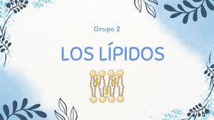 Los Lípidos Grupo 2