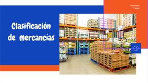 Clasificación De Las Mercancías En El Almacén