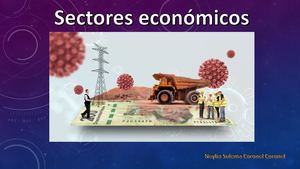 Sectores Economicos