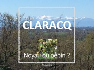 06 Noyau ou Pépin?
