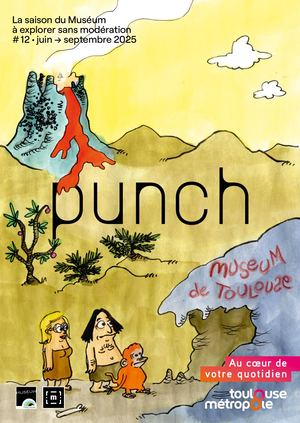 Punch 12