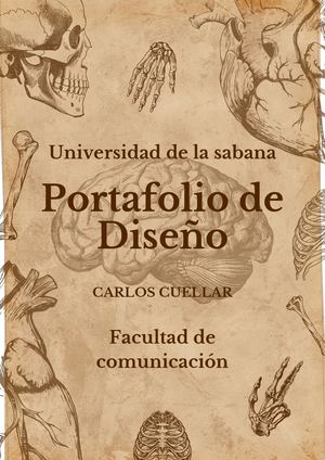 Portafolio - Carlos Cuellar