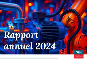 Rapport annuel GIM - 2024