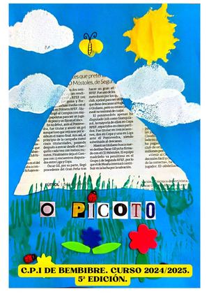 5º Edición Xornal o Picoto