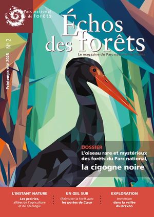 Échos Des Forêts - Printemps-été 2025