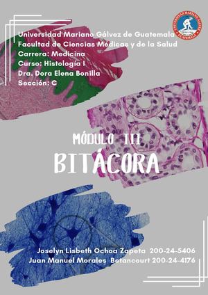 Bitácora Modulo III Histo I