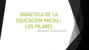 Didáctica De La Educación Inicial- Los Pilares