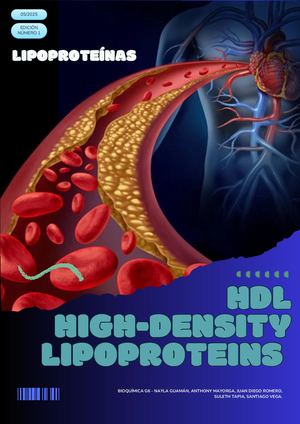 HDL - EL COLESTEROL BUENO