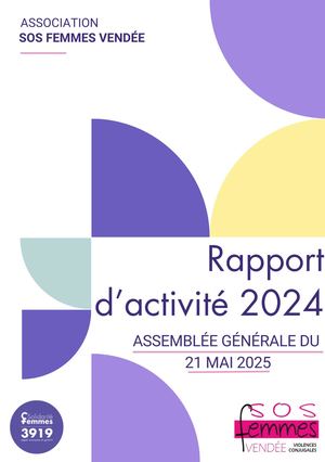 Rapport D'activite Synthetique 2024