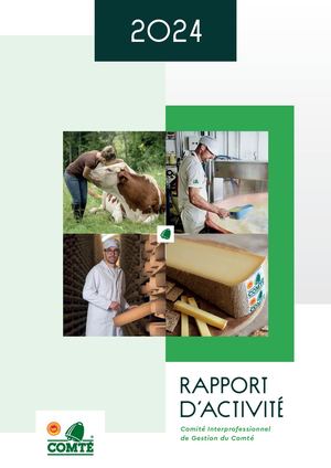 Rapport D'activité Cigc 2024