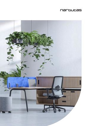 Narbutas Meeting:conference