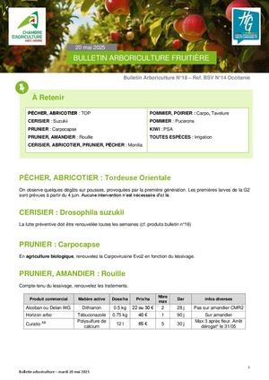 Bulletin Arboriculture 23 Mai 2025