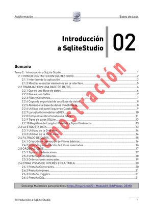 Tema02sqlite Studio Demo