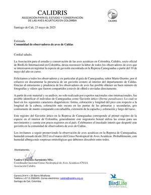 Comunicado S Paradisea