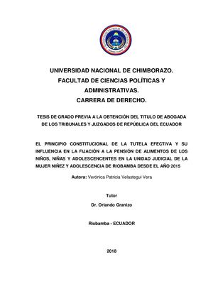 Base De Datos Unach Pension De Alimentos
