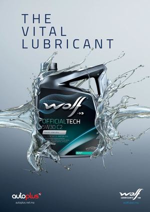 Catalogue Wolf 2025