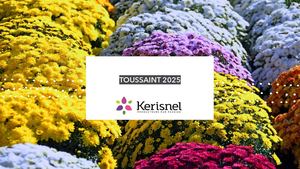 Kerisnel Catalogue Toussaint 2025 Sans Prix