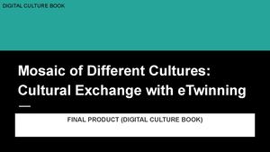 Mosaic Of Different Cultures Cultural Exchange With E Twinning