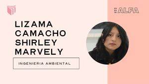 Copia De Portafolio Alfa