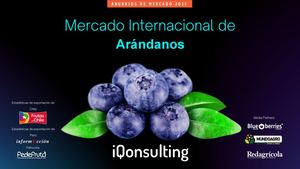 250523 Anuario De Arandanos 2025