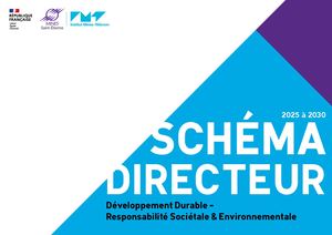 Schéma Directeur Ddrs Web