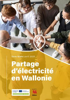 Livre Blanc Partage Electricite En Wallonie Web