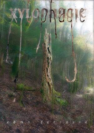 Micro-édition Xylophagie