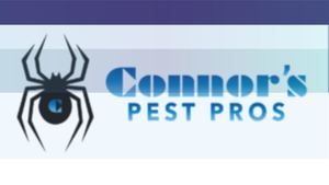 Silver Spring, MD Pest Extermination For Ants & Termites: What To Look For In A Company