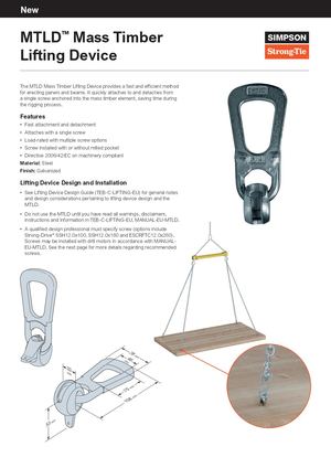 F LV MTLD Flyer 2025