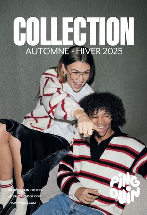 Nuancier Pingouin Ah25 Web