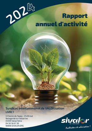 Livre 1 Rapport D'activité 2024