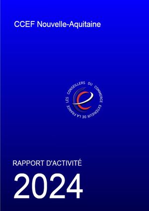 Ccena Rapport Activité 2024 Num Vfinale