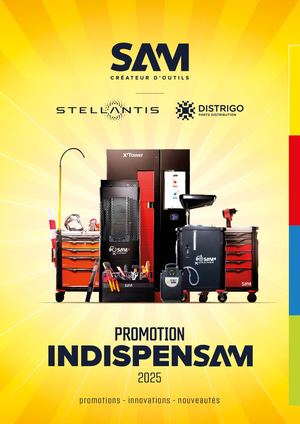 INDISPENSAM STELLANTIS 2025