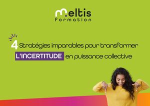 Livre Blanc - Incertitude