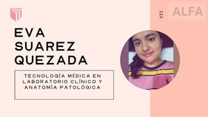 Mi Portafolio Ucv Suarez Quezada