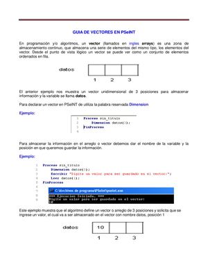 Vectores Pseint